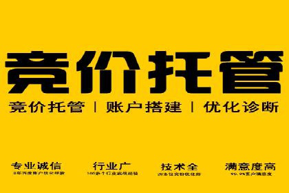 某科技公司的信息流广告投放策略与效果评估